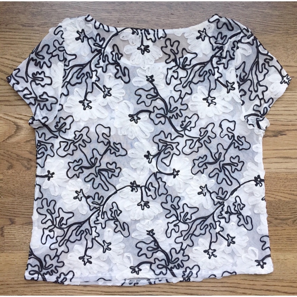 🌹Anthropology Meadow Rue sheer ribbon top🌹 - Picture 6 of 6